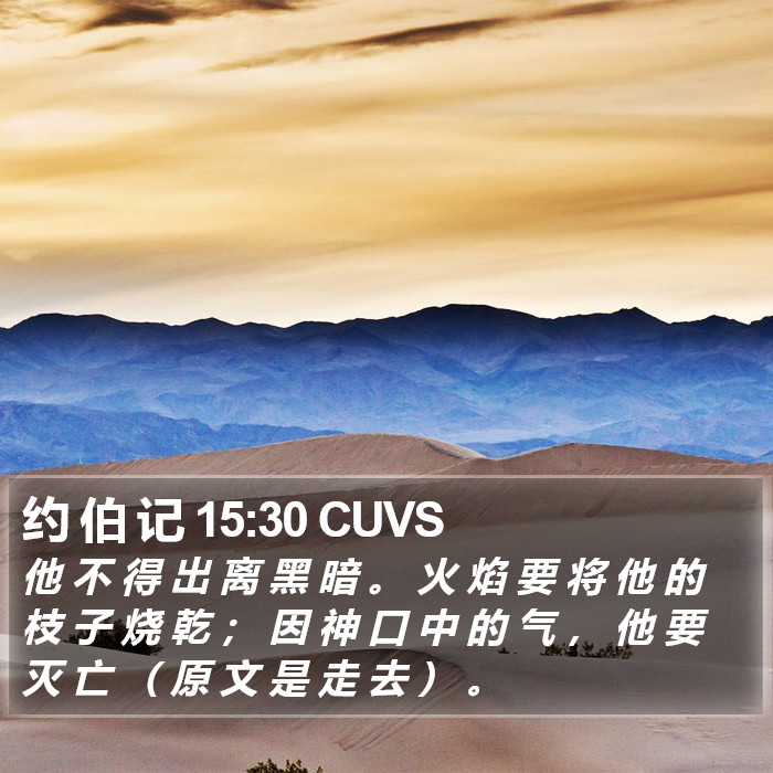约 伯 记 15:30 CUVS Bible Study