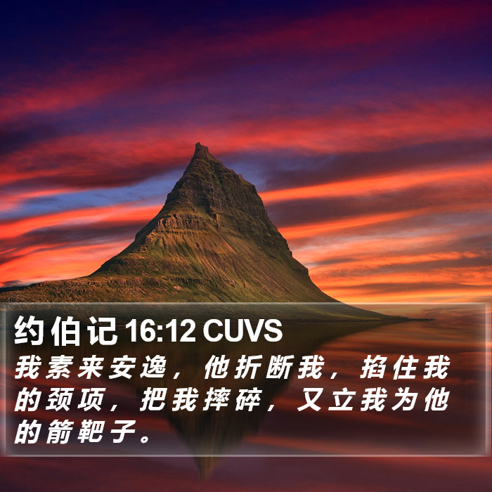 约 伯 记 16:12 CUVS Bible Study