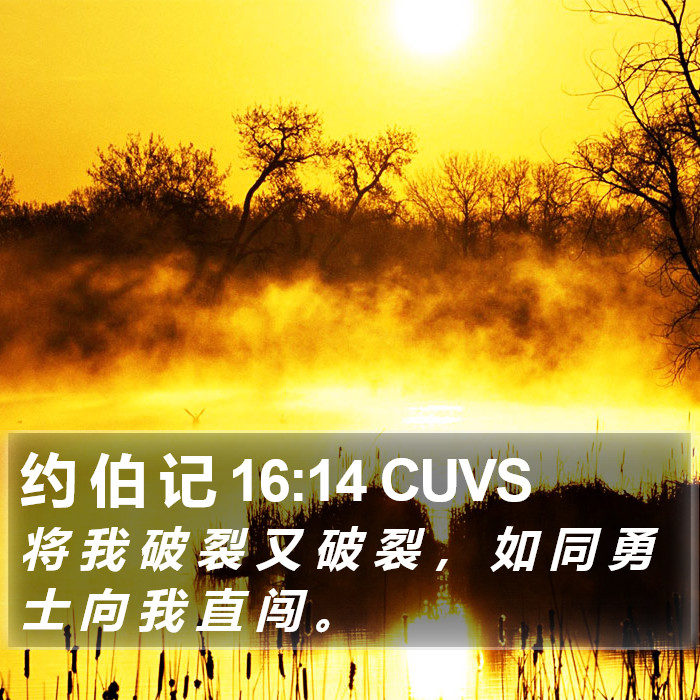 约 伯 记 16:14 CUVS Bible Study