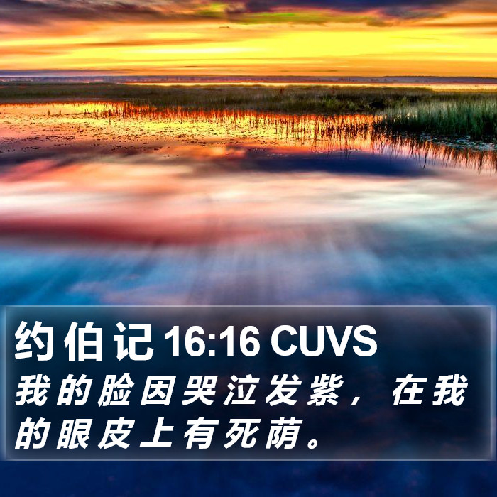 约 伯 记 16:16 CUVS Bible Study