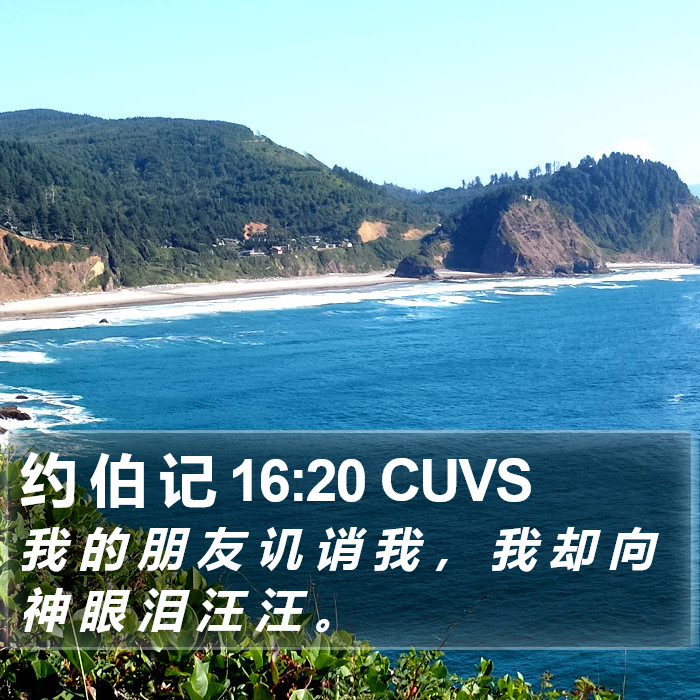 约 伯 记 16:20 CUVS Bible Study