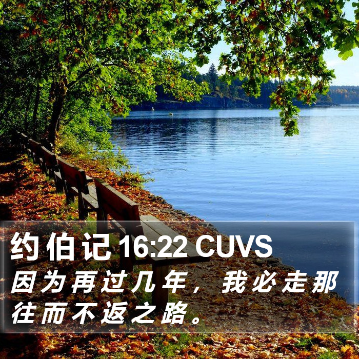 约 伯 记 16:22 CUVS Bible Study