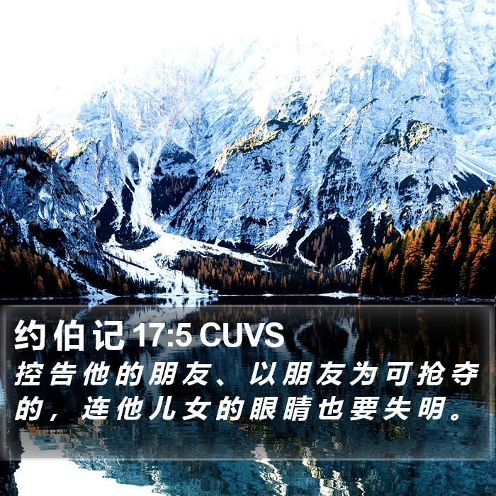约 伯 记 17:5 CUVS Bible Study