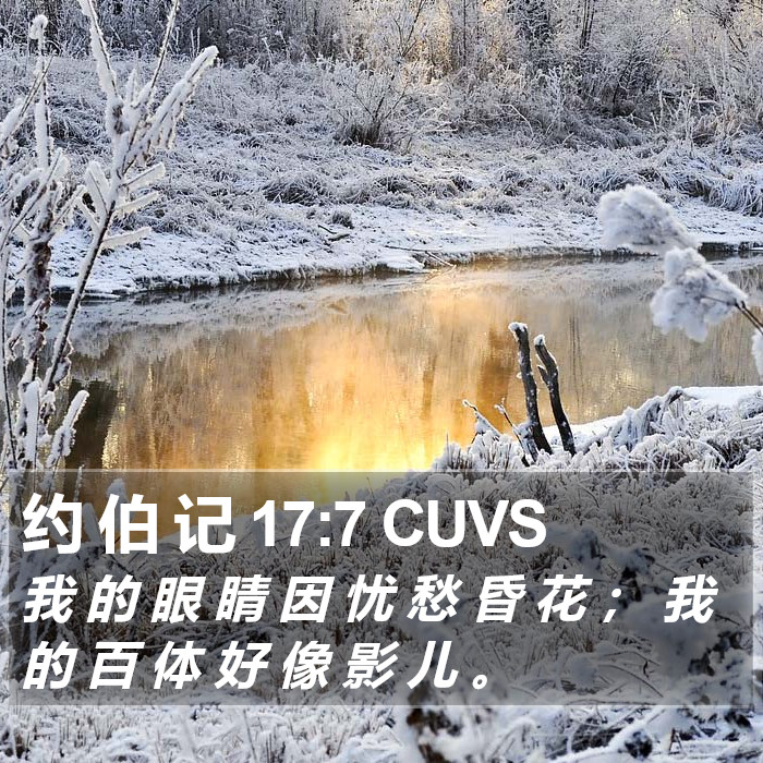 约 伯 记 17:7 CUVS Bible Study