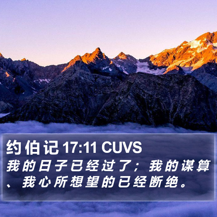 约 伯 记 17:11 CUVS Bible Study