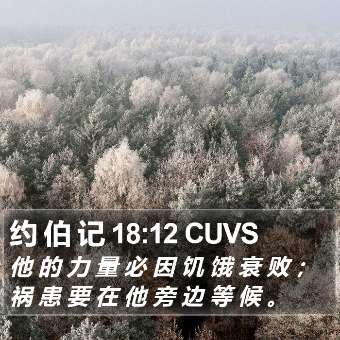 约 伯 记 18:12 CUVS Bible Study