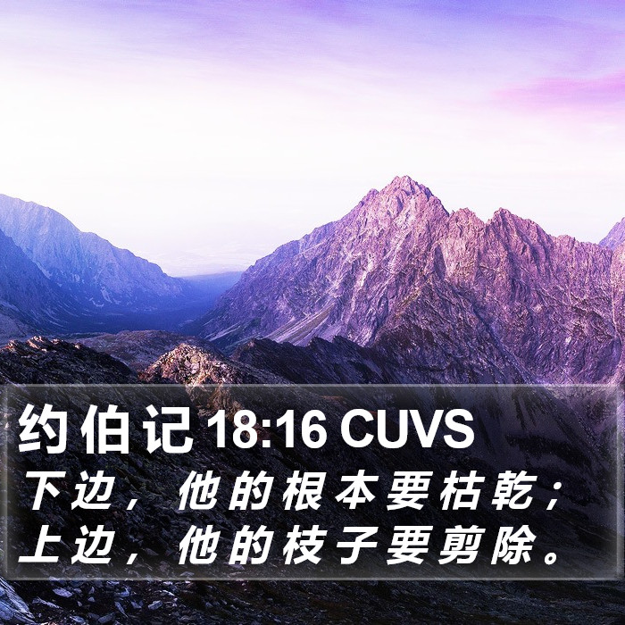 约 伯 记 18:16 CUVS Bible Study