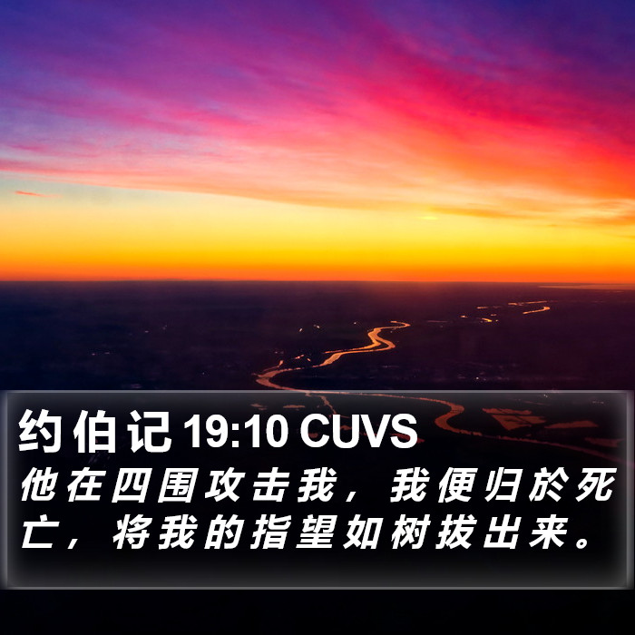 约 伯 记 19:10 CUVS Bible Study
