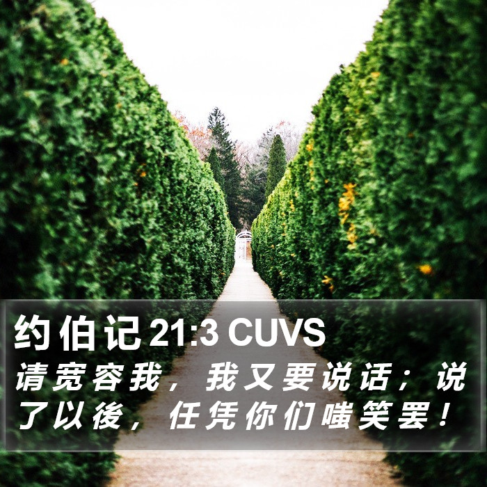 约 伯 记 21:3 CUVS Bible Study