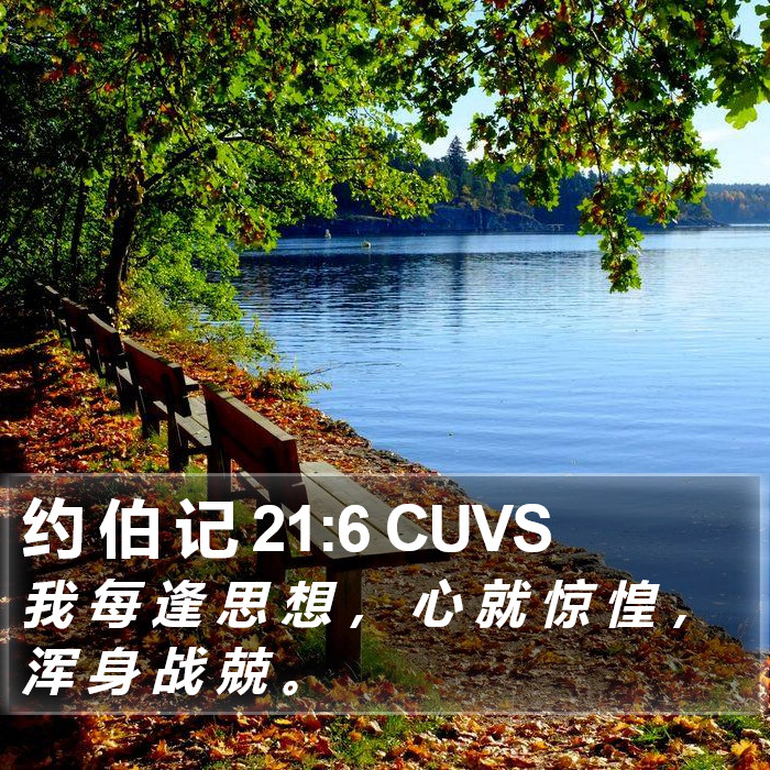 约 伯 记 21:6 CUVS Bible Study