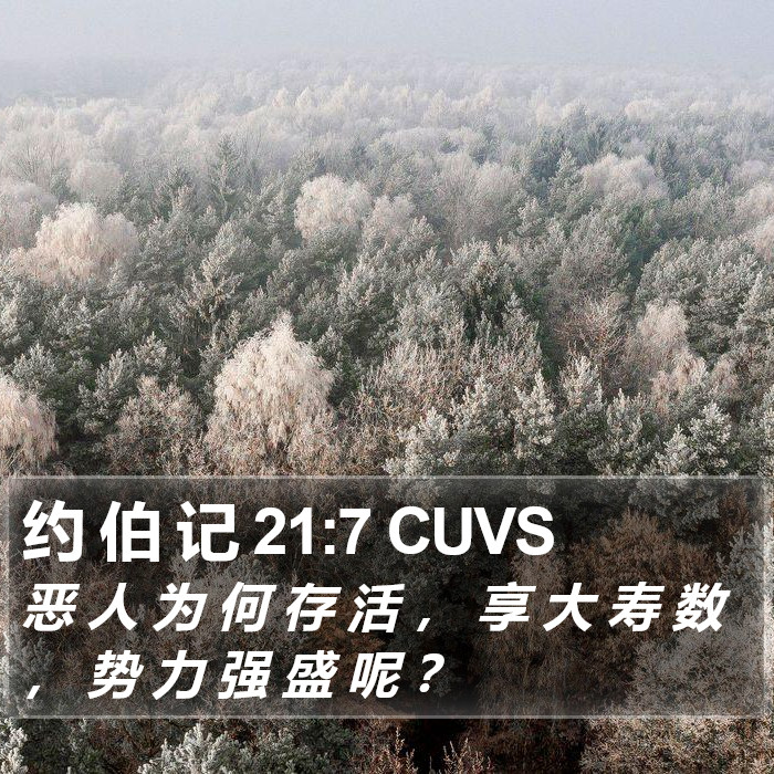 约 伯 记 21:7 CUVS Bible Study