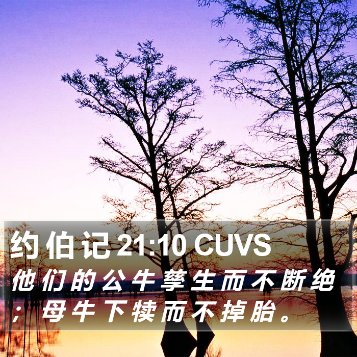 约 伯 记 21:10 CUVS Bible Study