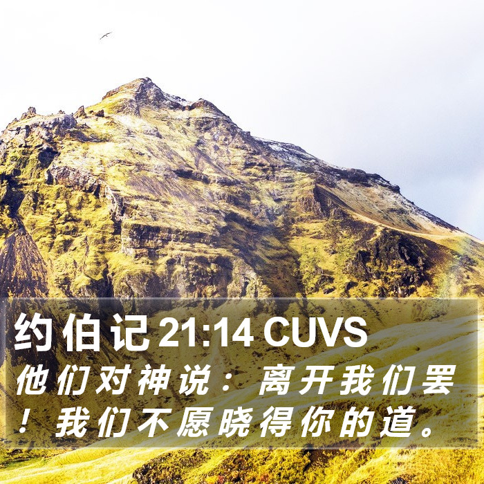 约 伯 记 21:14 CUVS Bible Study