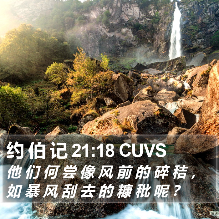 约 伯 记 21:18 CUVS Bible Study