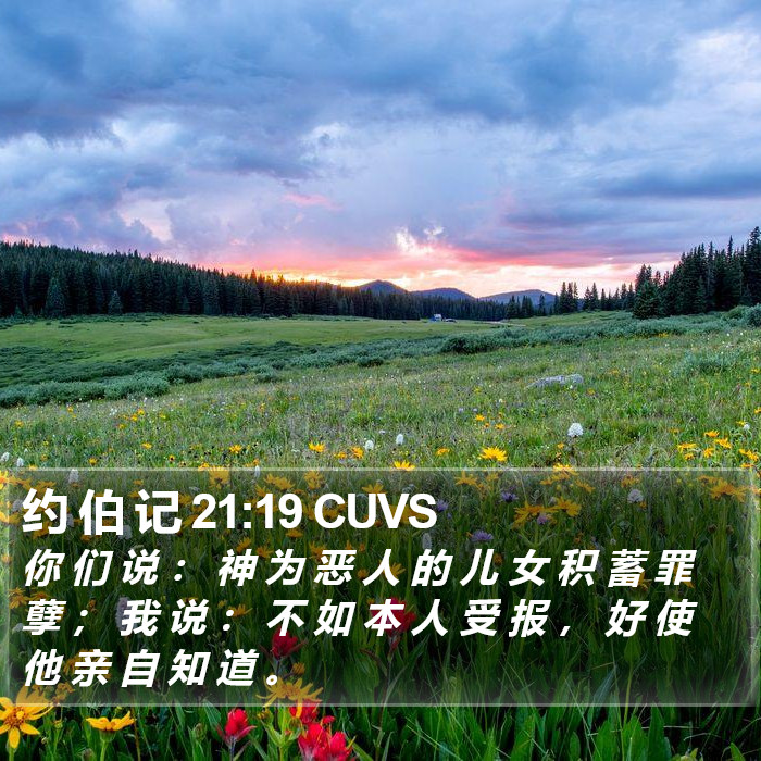 约 伯 记 21:19 CUVS Bible Study