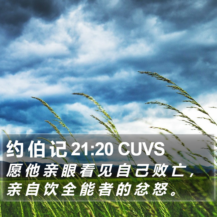 约 伯 记 21:20 CUVS Bible Study