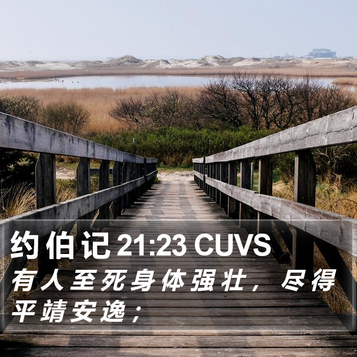 约 伯 记 21:23 CUVS Bible Study