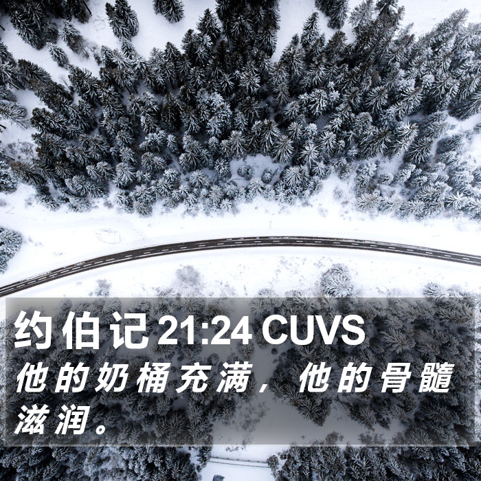 约 伯 记 21:24 CUVS Bible Study