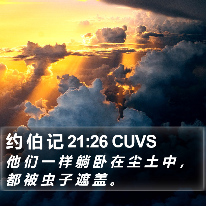 约 伯 记 21:26 CUVS Bible Study