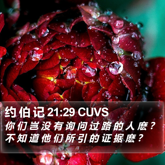 约 伯 记 21:29 CUVS Bible Study