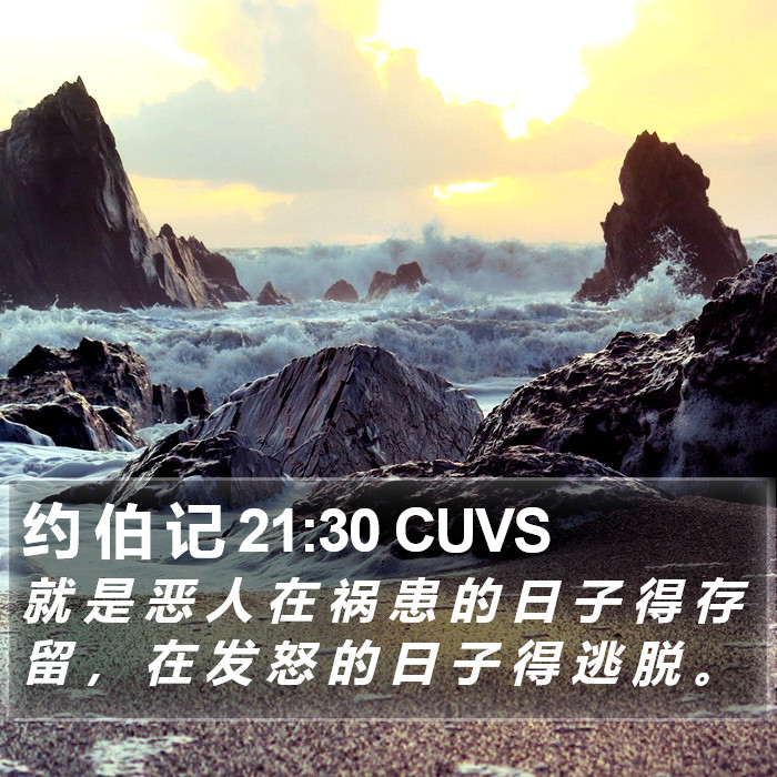 约 伯 记 21:30 CUVS Bible Study