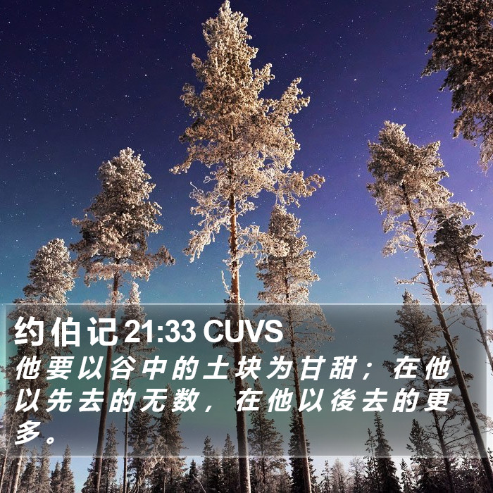 约 伯 记 21:33 CUVS Bible Study