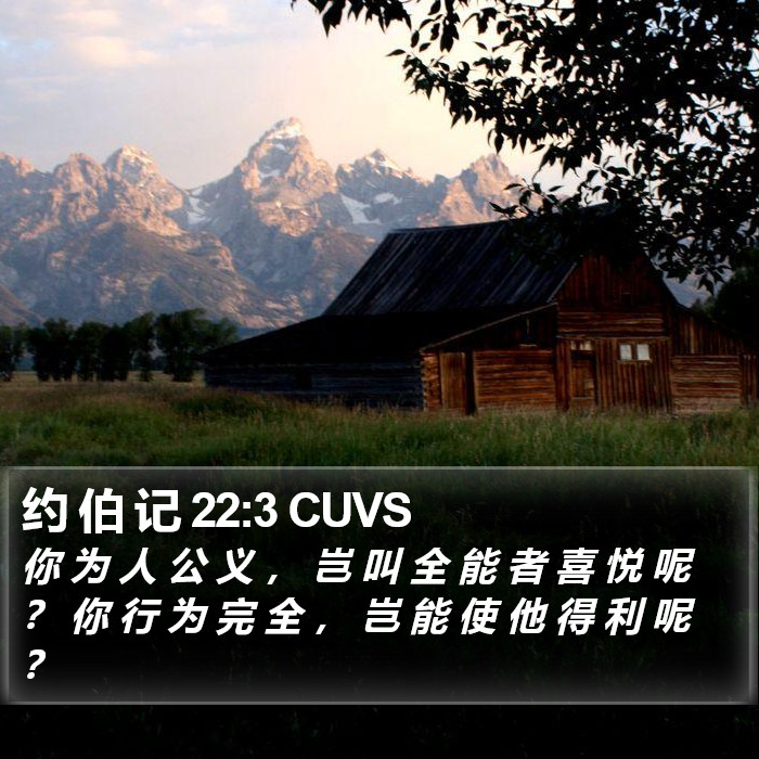 约 伯 记 22:3 CUVS Bible Study