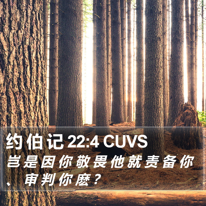 约 伯 记 22:4 CUVS Bible Study