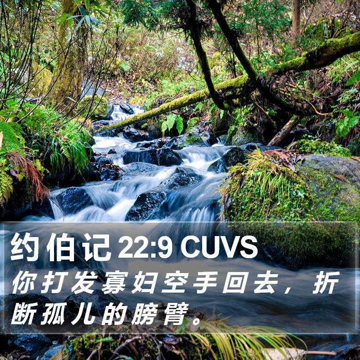 约 伯 记 22:9 CUVS Bible Study