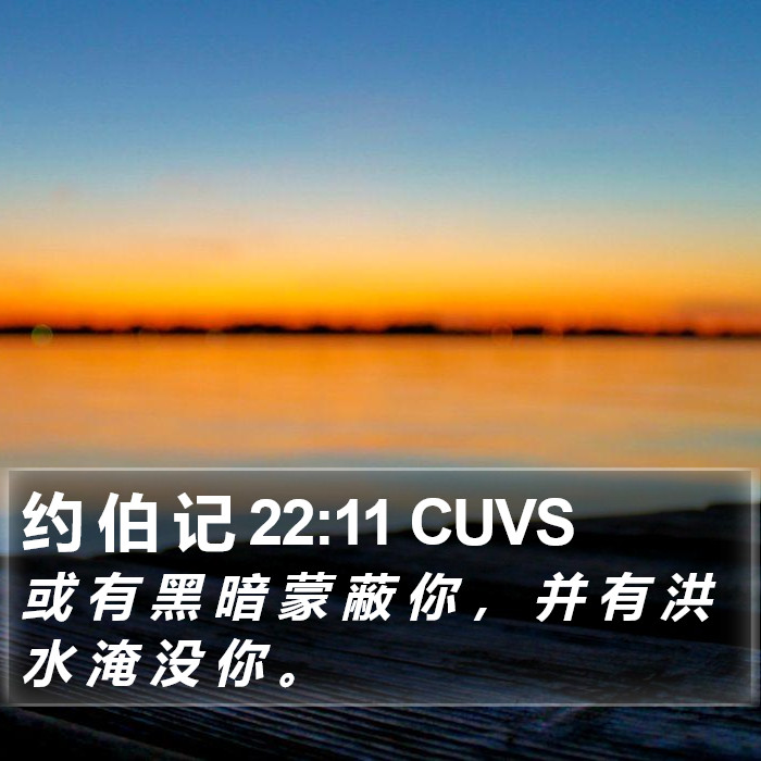 约 伯 记 22:11 CUVS Bible Study