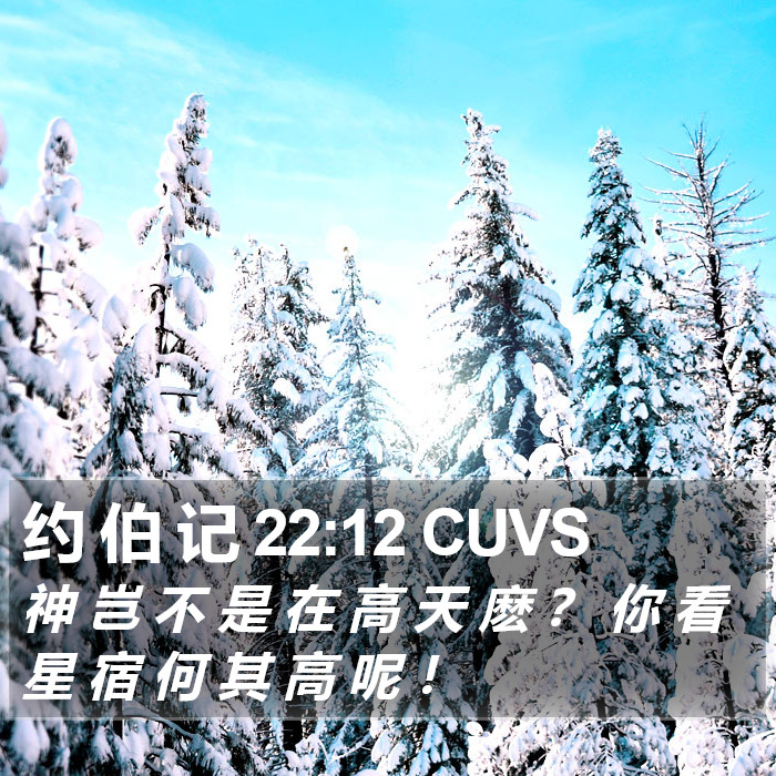 约 伯 记 22:12 CUVS Bible Study
