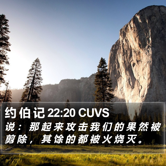约 伯 记 22:20 CUVS Bible Study