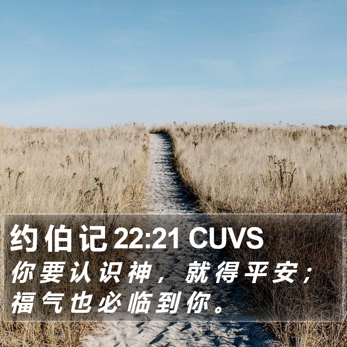 约 伯 记 22:21 CUVS Bible Study