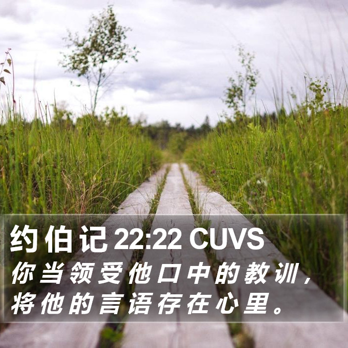 约 伯 记 22:22 CUVS Bible Study