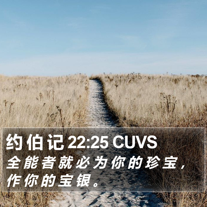 约 伯 记 22:25 CUVS Bible Study