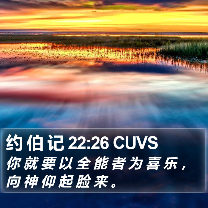 约 伯 记 22:26 CUVS Bible Study