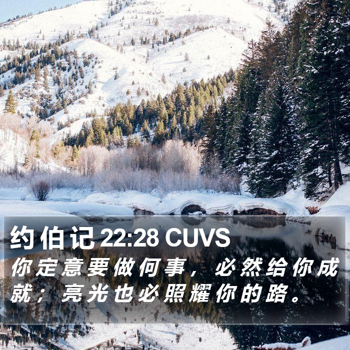 约 伯 记 22:28 CUVS Bible Study