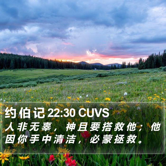 约 伯 记 22:30 CUVS Bible Study