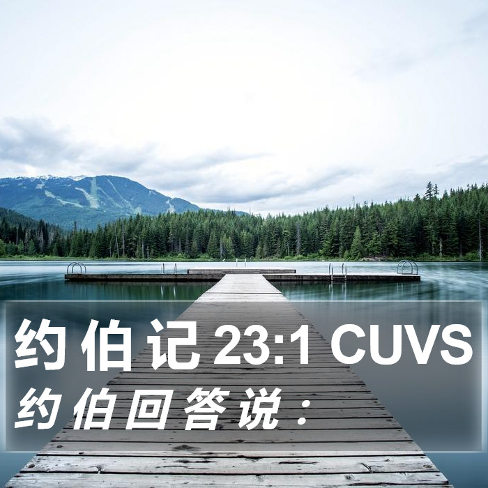 约 伯 记 23:1 CUVS Bible Study
