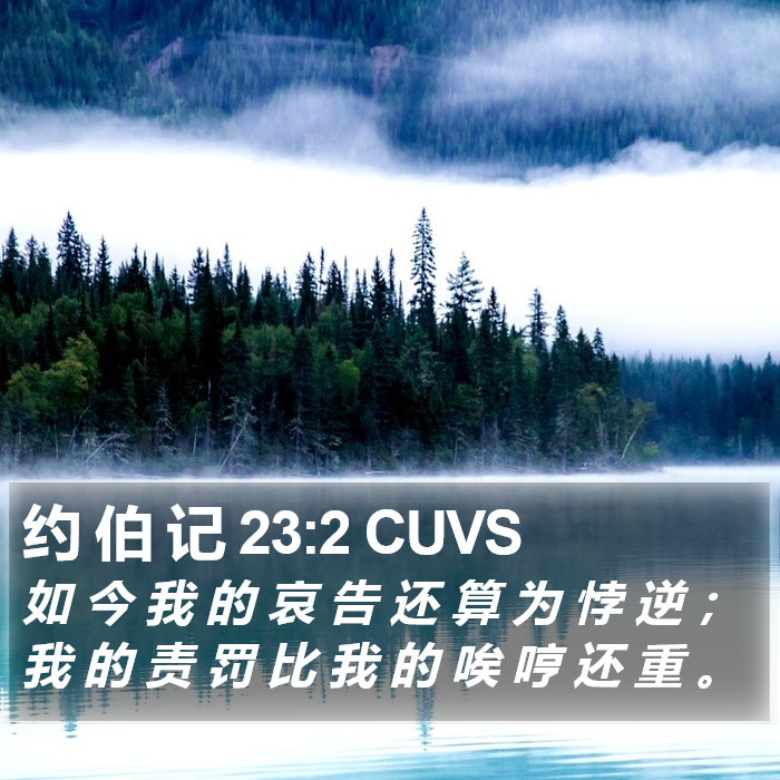 约 伯 记 23:2 CUVS Bible Study
