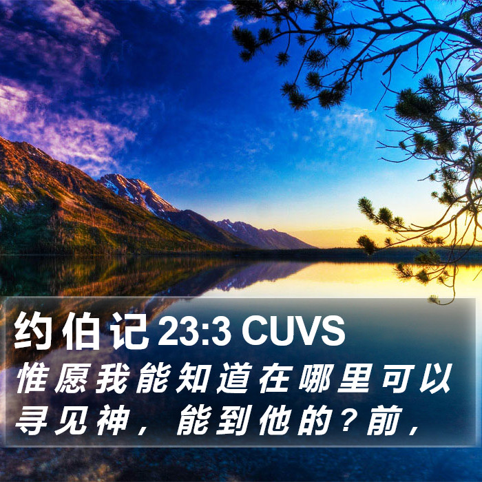 约 伯 记 23:3 CUVS Bible Study