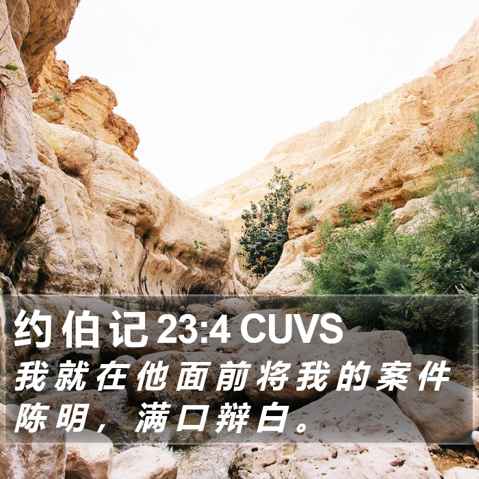 约 伯 记 23:4 CUVS Bible Study
