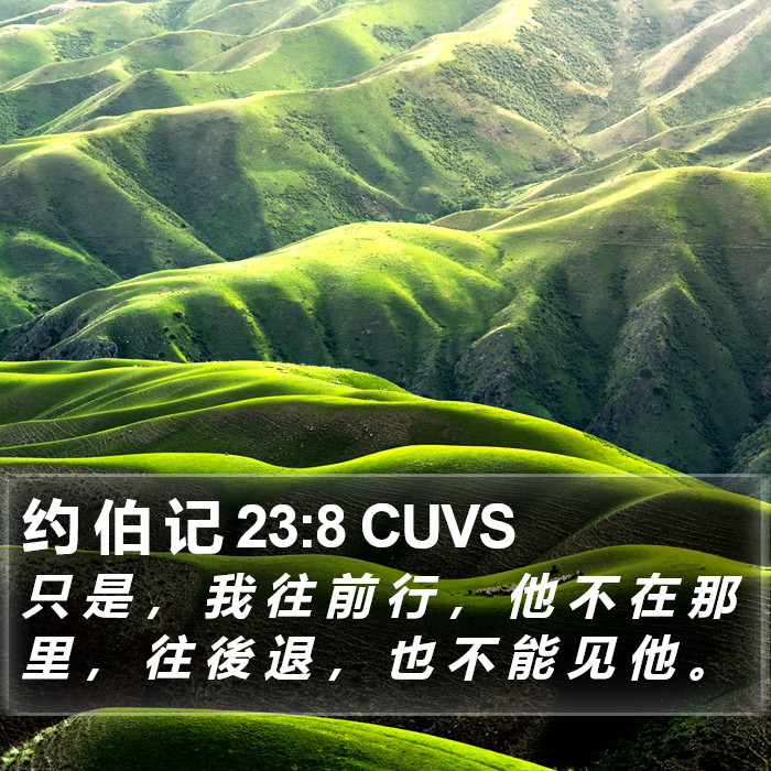 约 伯 记 23:8 CUVS Bible Study