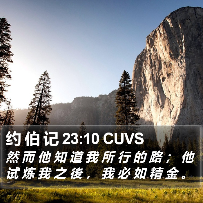 约 伯 记 23:10 CUVS Bible Study
