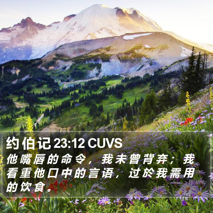 约 伯 记 23:12 CUVS Bible Study
