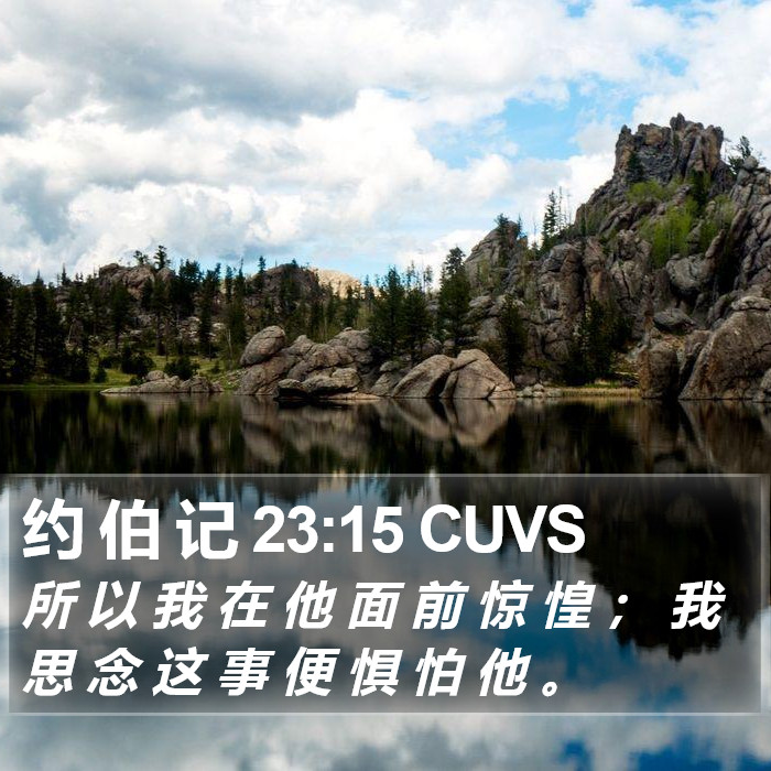 约 伯 记 23:15 CUVS Bible Study