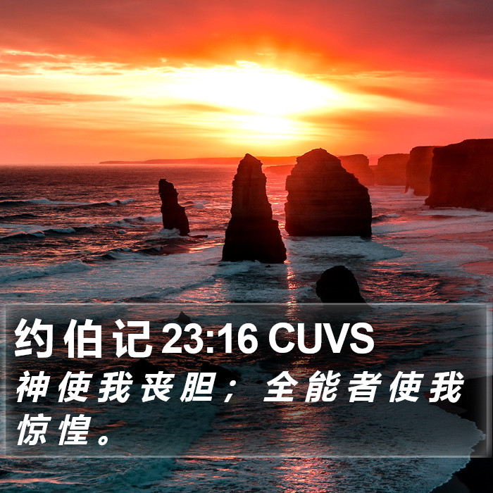 约 伯 记 23:16 CUVS Bible Study