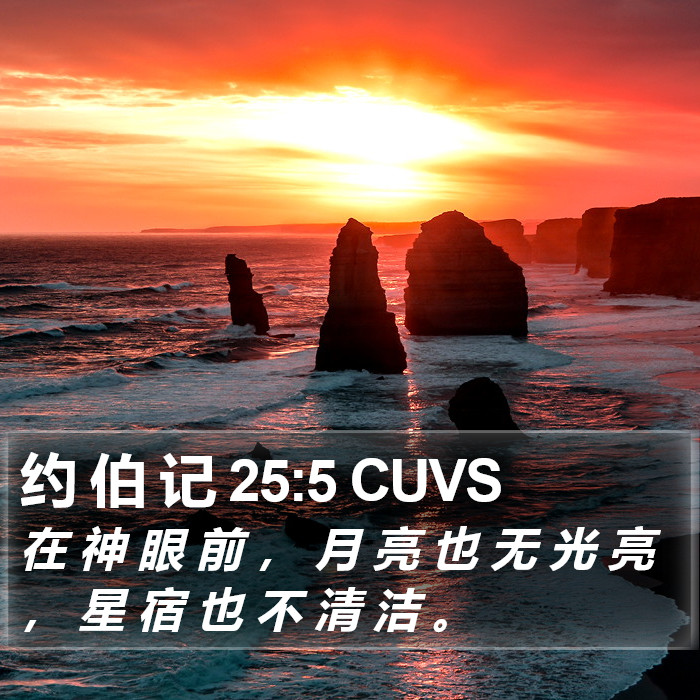 约 伯 记 25:5 CUVS Bible Study