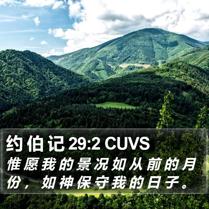 约 伯 记 29:2 CUVS Bible Study