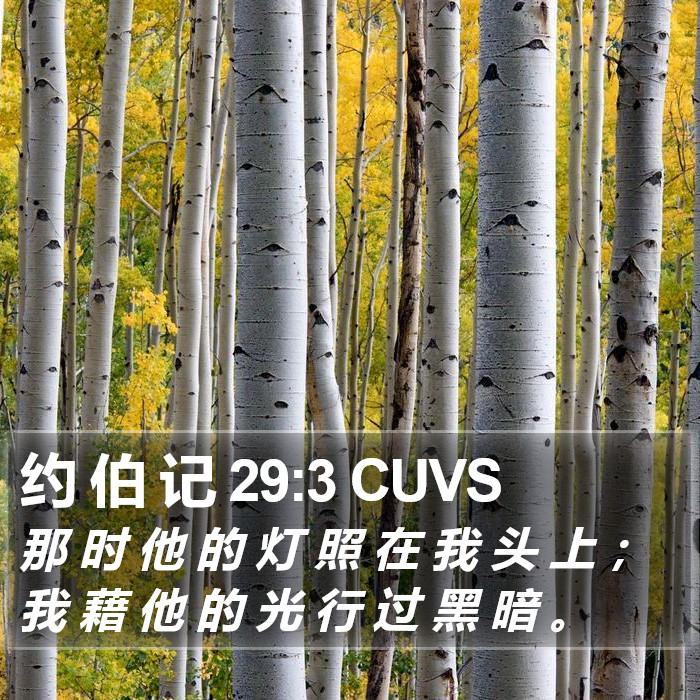 约 伯 记 29:3 CUVS Bible Study